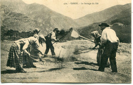 2B-CORSE - Le Battage Du Blé Corse - Cultures