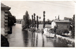 01 :Pont-de-Veyle : La Vue Sur La Veyle :  ( Cpsm P.F. ) - Sin Clasificación