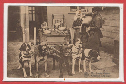 METIERS - Voiture à Chien - Laitier Flamand - Street Merchants