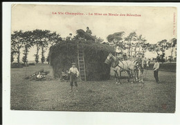 La Vie Aux Champs  - Agriculture - Les Faneurs  - La Fenaison   - Mise En Meule Des Récoltes   - Animée- - Cultures