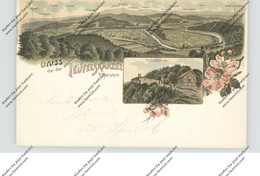 0-5631 HANSTEIN / Eichsfeld, Lithographie 1899, Teufelskanzel Bei Hanstein - Heiligenstadt