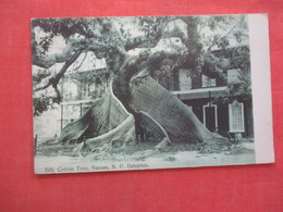 Silk Cotton Tree   Nassau Bahamas   Ref  4539 - Bahamas