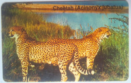 N$ 10 Namibia Cheetah - Namibia