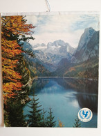 1977..SWITZERLAND.. VINTAGE CALENDAR..UNICEF - Grand Format : 1971-80