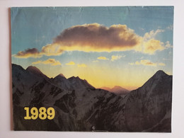 1989..KAZAKHSTAN... VINTAGE CALENDAR. - Grand Format : 1981-90