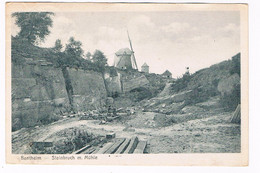 D-11706   BENTHEIM : Steinbruch Mit Mühle - Bentheim