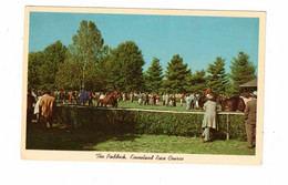 LEXINGTON, Kentucky, USA, The Paddock At Keeneland Race Course, Old Chrome Postcard - Lexington
