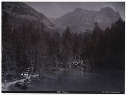 Photo Originale Albuminée XIX ème Blausee Kilchberg Zurich - Anciennes (Av. 1900)