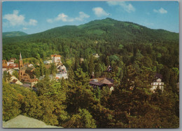Badenweiler - Blick Von Der Burgruine 2 - Badenweiler