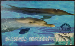 Bottlenose Dolphin Ocean Park Theme Park Hong Kong 2020 Maximum Card MC B - Maximumkarten