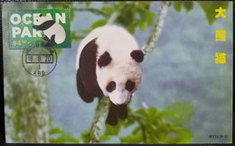 Giant Panda Ocean Park Theme Park Hong Kong 2020 Maximum Card MC C - Tarjetas – Máxima