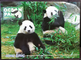 Giant Panda Ocean Park Theme Park Hong Kong 2020 Maximum Card MC D - Maximum Cards