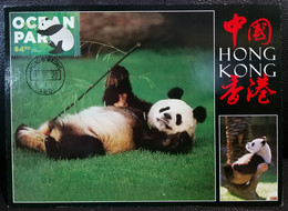 Giant Panda Ocean Park Theme Park Hong Kong 2020 Maximum Card MC E - Maximumkarten