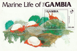GAMBIE - Vie Marine, Escargot De Mer - Y&T BF 12 + Tb N° 528-531 - 1984 - MNH - Gambia (1965-...)