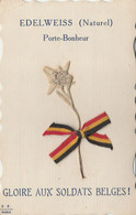 Carte Patriotique Gloire Aux Soldats Belges -4 Avril 17 -petite Pliurecoin Supérieur Gauche - Belgische Armee