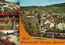 AK Bad Münstereifel - Mehrbildkarte - Wehrgang Wildfreigehege Wasserspiele (53250) - Bad Münstereifel