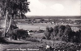 2969 - Österreich - Steiermark , Burgau , Sommerfrische , Panorama - Gelaufen - Fürstenfeld