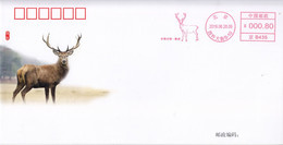 China 2019 Chinese Rare Animals David's Deer Commeomrative Cover - Covers