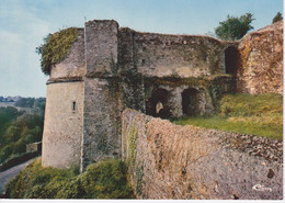 79 - DEUX SEVRES - ARGENTON-CHATEAU - LES VESTIGES DU CHATEAU - Argenton Chateau