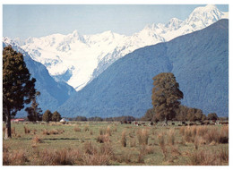 (BB 7) New Zealand - Mt Tasman & Fox Glacier - New Zealand