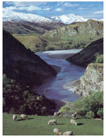 (BB 7) New Zealand - Arthur Point & Shotover River - New Zealand