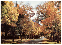 (BB 7) New Zealand - Arrowtown Autumn Views - New Zealand