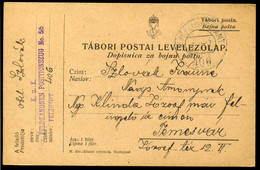 I. Világháború .1917. Kétnyelvű Tábori Posta Lap FP 406 + Feldkanonen Positionzug , Temesvárra - Cartas