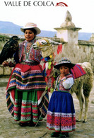E 2190 - Pérou N° 341  Valle Del Colca    Arequipa - Perú