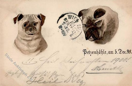 Handgemalt Hunde Künstlerkarte 1898 I-II Peint à La Main Chien - Otros & Sin Clasificación