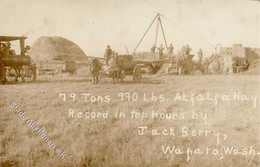 Landwirtschaft Maschine USA Dampf-Mähdrescher Foto AK 1915 I-II Paysans - Esposizioni