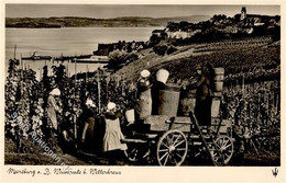 WEIN - Weinernte B. WETTERKREUZ - MEERSBURG,Bodensee I - Esposizioni