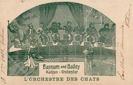 Zirkus Barnum U. Bailey Katzen Orchester 1902 I-II Chat - Zirkus