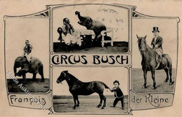 Zirkus Busch Francois Der Kleine Elefant Pferd 1909 I-II - Circo