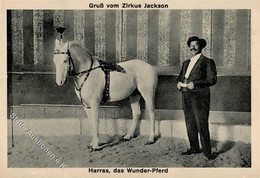 Zirkus Jackson Harras Der Wunder-Pferd I-II - Circo