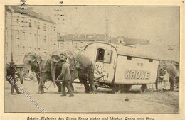 Zirkus Krone Elefanten 1916 I-II (fleckig) - Zirkus