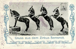 Zirkus Semspott Pferde Dressur 1909 I-II - Circo