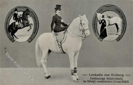 Zirkus Sidoli Leokadia Von Walberg Schulreiterin 1911 I-II (Eckbug) - Circo