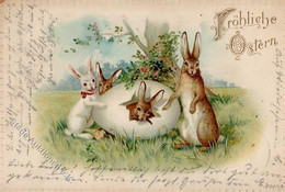 Ostern Hasen  Prägedruck 1905 I-II (Marke Entfernt) Paques - Pascua