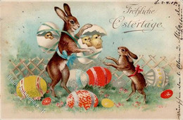 Ostern Hasen Küken Eier Präge-Karte 1904 I-II Paques - Pascua