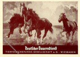 Pferd Wiesbaden (6200) Deutscher Bauerndienst Tierversicherungs Gesell. I-II - Caballos