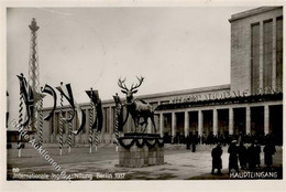 Jagdausstellung Charlottenburg (1000) International Foto AK I-II - Sonstige & Ohne Zuordnung