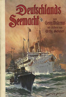 Buch WK I Deutschlands Seemacht Sonst Und Jetzt Wislicenus, Georg 1909 Verlag Fr. Wilh. Grunow 356 Seiten Und 99 Abbildu - Weltkrieg 1914-18