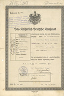 Dokumente Reisegenehmigung Kaiserlich Deutsche Konsulat Riga 1913 Reise Nach Deutschland Und Zurück Nach Russland RS Div - Sonstige & Ohne Zuordnung