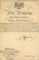 Verleihungsurkunde Bestallung Als Professor Dr. Juris. Frhr. Carl Von Kaltenborn-Stachau Mit Original Unterschrift Kaise - Weltkrieg 1939-45