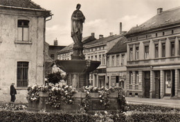 DC3129 - Ak Stendal Sperlings Brunnen - Stendal