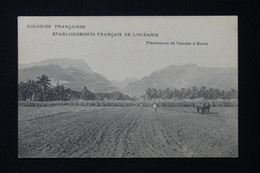 POLYNÉSIE - Carte Postale - Plantation De Cannes à Sucre - L 82475 - Polynésie Française