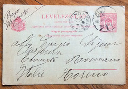 UNGHERIA  - CARTE POSTALE LEVELEZO - LAP 10 F. Da FIUME A TORINO IN DATA 12/9/1909 - Briefe U. Dokumente