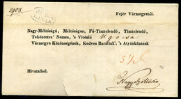 SZÉKESFEHÉRVÁR 1843. Dekoratív Hivatalos Boríték Nagyszőllősre Küldve - ...-1867 Prephilately