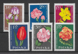 Thème Fleurs - Pologne - Neufs ** Sans Charnière - TB - Sonstige & Ohne Zuordnung