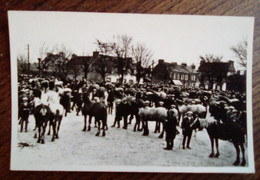 Carte Postale Ancienne - Landivisiau - Le Champ De Foire - Landivisiau